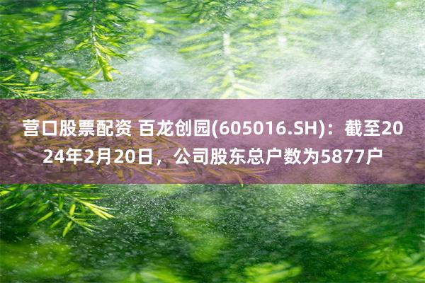 营口股票配资 百龙创园(605016.SH)：截至2024年2月20日，公司股东总户数为5877户