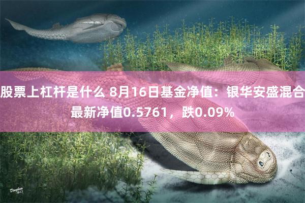 股票上杠杆是什么 8月16日基金净值：银华安盛混合最新净值0.5761，跌0.09%