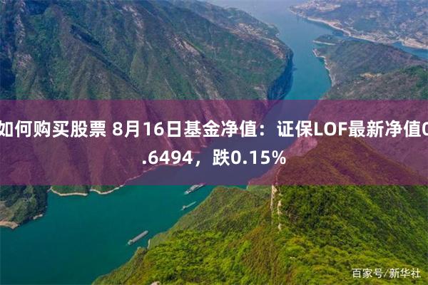 如何购买股票 8月16日基金净值：证保LOF最新净值0.6494，跌0.15%