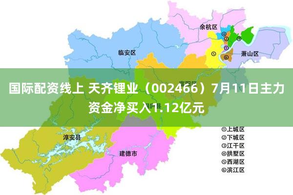 国际配资线上 天齐锂业（002466）7月11日主力资金净买入1.12亿元