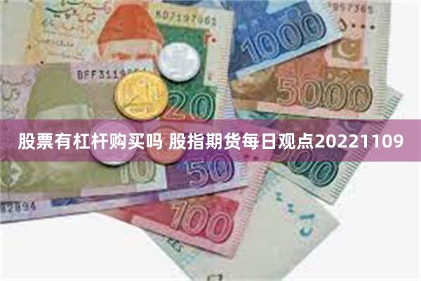 股票有杠杆购买吗 股指期货每日观点20221109